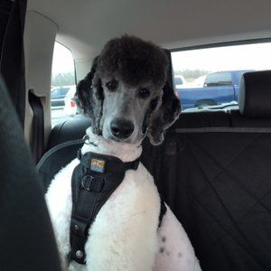 Meet your Posher, Margaret